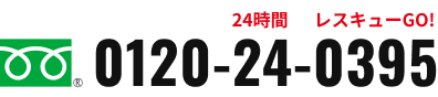 0120-24-0395